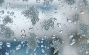 Погода в регионе 31 декабря: мокрый снег и до +3
