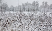 В Тульской области ожидается аномальное количество осадков