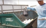 На новомосковском рынке уничтожили более 10 кг санкционного сыра