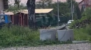 Жители Новомосковска: «На ул. Пионерской овчарки растерзали маленькую собачку»