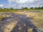 В Богородицке на землю сливают нефтепродукты