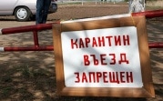 В Тульской области два населенных пункта закрыли на карантин из-за африканской чумы