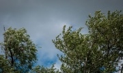 В Тульской области объявлено метеопредупреждение из-за сильного ветра