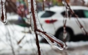 Погода в Туле 14 февраля: до +2 градусов и мокрый снег