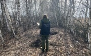 Житель Тульской области в 2020 году убил пятилетнего сына своей подруги