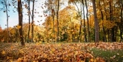 Синоптики прогнозируют возвращение сентябрьского тепла