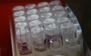 Коронавирусная статистика: в Тульской области заболели еще 58 человек