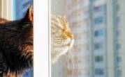 Погода в Тульской области 25 февраля: облачно, ветрено, без осадков