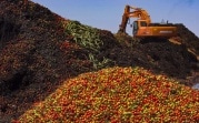 Роспотребнадзор предложил запретить уничтожать съедобные продукты