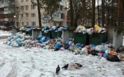В Тульской области до 1 июля заменят все мусорные контейнеры