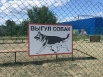 В Новомосковске появятся новые места для выгула собак