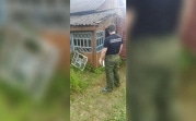 Жестокое убийство пенсионерки в Богородицке: стали известны результаты экспертизы