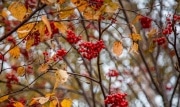 В Туле 29 октября будет до 11 градусов тепла