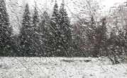 Погода в Тульской области 29 января: сыро, ветрено и низкое давление