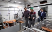 В Тульской области построят шесть новых свиноводческих ферм