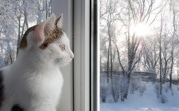 Погода в Тульской области 18 февраля: похолодание, облачность, местами снег