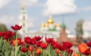 Погода 10 мая: в Тулу возвращается весеннее тепло