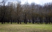 В Центральной России приход настоящего весеннего тепла снова откладывается