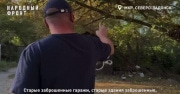 «Шприцы, бутылки, непонятный хохот»: в Донском жители боятся отправлять детей в школу из-за отсутствия освещения