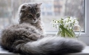 Погода в регионе 30 апреля: небольшой дождь, ветрено и тепло