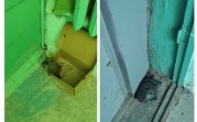 В Новомосковске неизвестный подбросил в подъезд дома черепах
