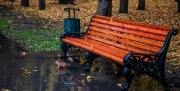 Сегодня в Тульской области будет ветрено