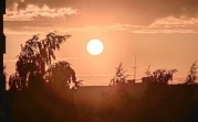 Погода в Туле 8 августа: ветрено и жарко