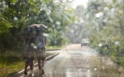 Погода в Тульской области 25 августа: короткие дожди и до +27