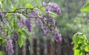 Погода в Тульской области 22 мая: облачно, дождливо и прохладно