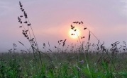 Погода в Тульской области 18 августа: северный ветер, без осадков