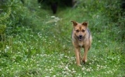 Погода в Тульской обоасти 4 августа: сухо, тепло, умеренный ветер