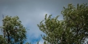 Метеопредупреждение объявлено в Тульской области