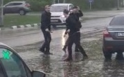 Поножовщина с тремя пострадавшими в Донском: возбуждено уголовное дело