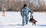 Под Тулой пропавшего жителя Краснодарского края искал кинолог с собакой