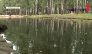 Щедрые жители Новомосковска могут стать причиной гибели уток в местном пруду
