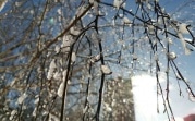 Погода в регионе 6 февраля: до 15 градусов мороза и ветер