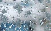 Погода в Туле 21 ноября: снег и до пяти градусов тепла
