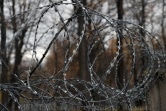 Житель Новомосковского района убил свою сожительницу и ее дочь-инвалида