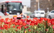 Погода в Туле 7 мая: тепло и дождливо