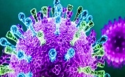 Коронавирус в Туле: 510 новых заболевших, 9 человек умерло