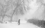 В ближайшую неделю в Тульской области может выпасть вся январская норма снега