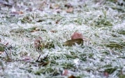 Погода в Тульской области 20 ноября: мокрый снег, гололед и ветер