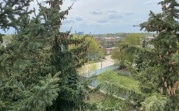 Вместо спиленных елок в Новомосковске рядом с будущим магазином может появиться сквер