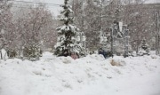 Февральские сюрпризы: в Туле в середине месяца наступит резкое похолодание