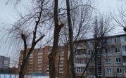 Погода в Туле 6 марта: небольшой снег и сильный ветер