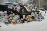 Заложили в тариф все, что угодно: жители Новомосковска высказались о мусорной реформе