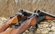 Когда и на кого в Тульской области можно будет поохотиться этой весной