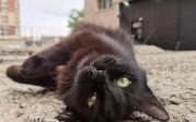 Погода в регионе 20 июня: малооблачно и до +32