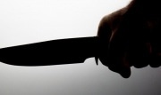 Жительница Узловой воткнула в грудь нож двоим мужчинам
