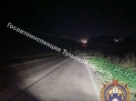 В Богородицком районе мужчина сбил пешехода, который шел в темноте по обочине